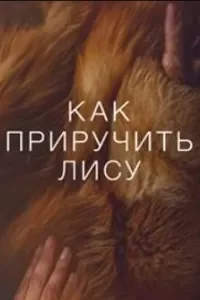 Как приручить лису Как приручить лису