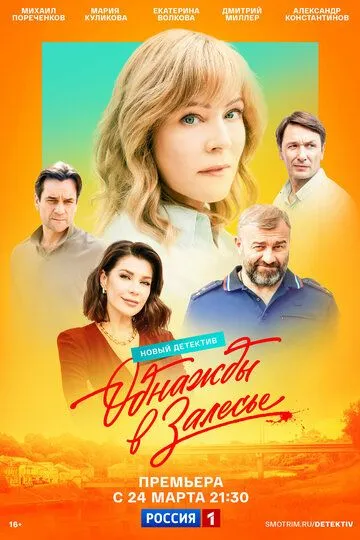 Однажды в Залесье Однажды в Залесье